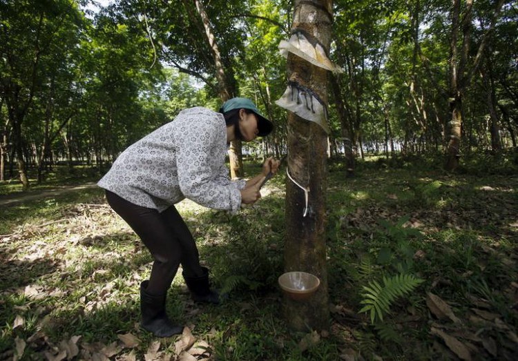 Vietnam raises $57.7 mln in lackluster rubber group IPO