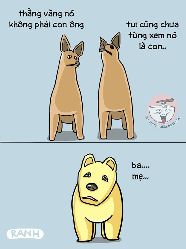 ​‘The dog that hates everyone’ featured in flower street in southern Vietnam