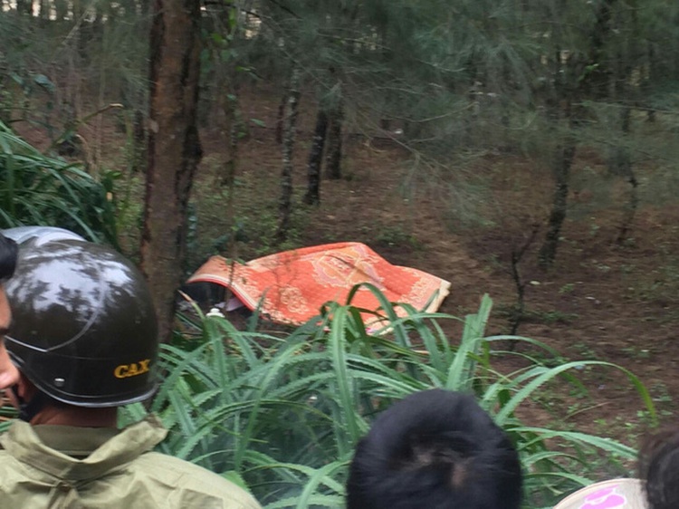 South Korean engineer found dead in Vietnamese wood
