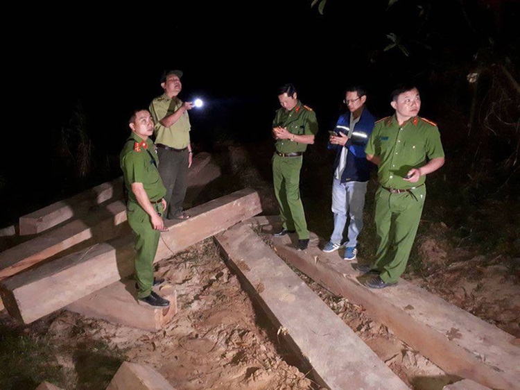 ​Police probe large-scale illegal logging operation in Vietnam’s Central Highlands