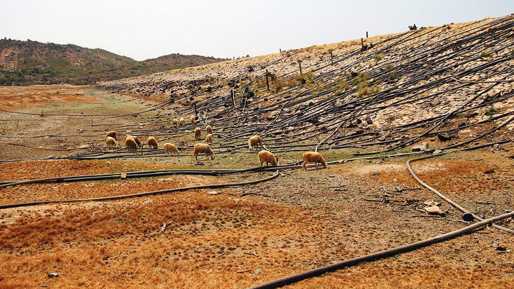 ​Major lake in central Vietnam dries up, besetting locals