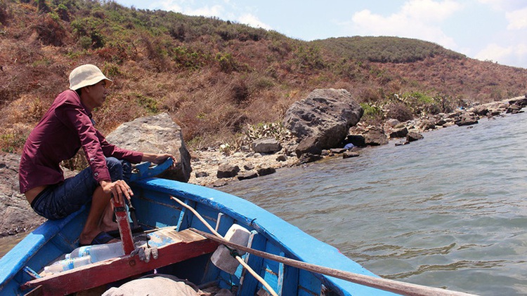 Deforestation leaves authorities powerless in Vietnamese bay