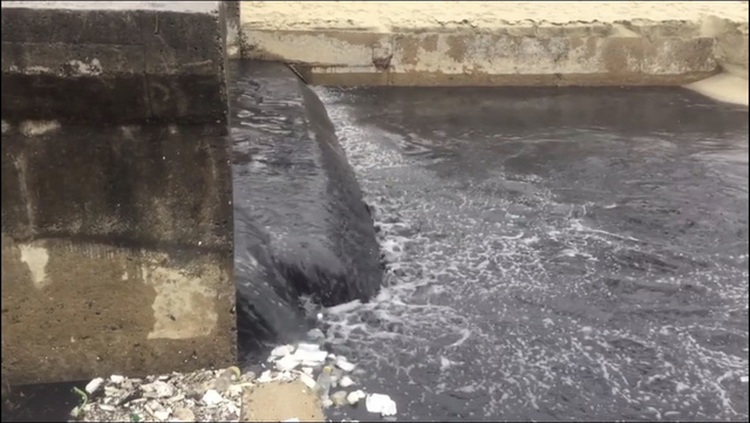 Da Nang’s famous beach spoiled by repulsive inky wastewater discharge