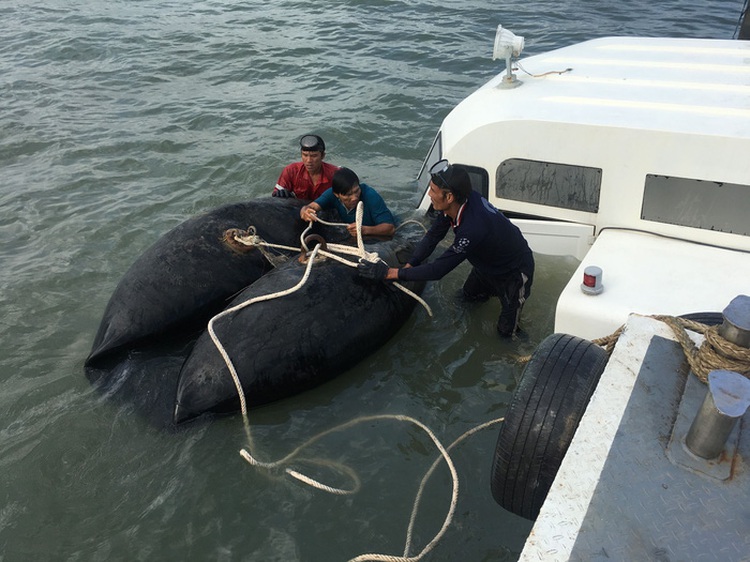​Authorities probe cause of express boat sinking in southern Vietnam