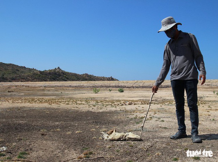 Thousands lack fresh water in drought-hit Vietnamese province