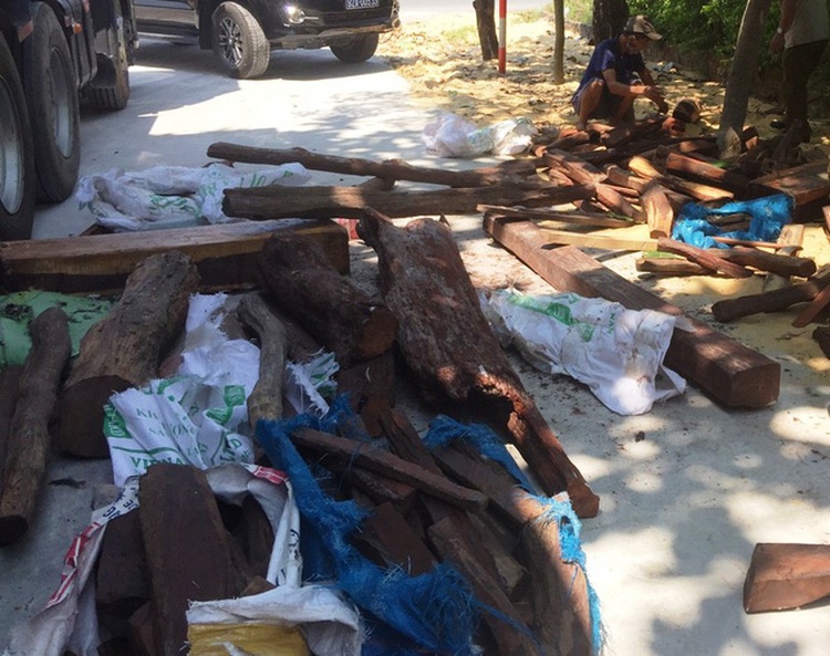 Truck illegally carrying two tonnes of endangered rosewood intercepted in central Vietnam