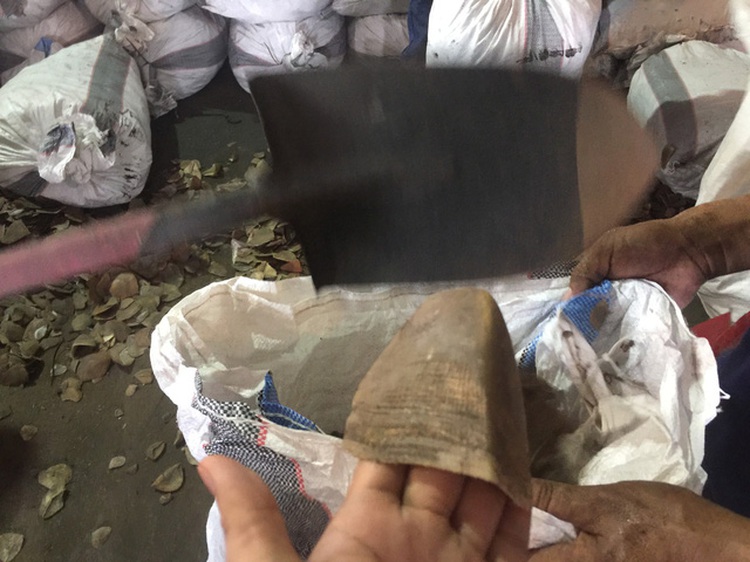 Tons of pangolin scales from Congo seized by Vietnamese customs