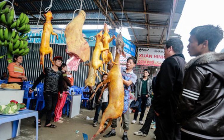 Vietnamese care more about edibility of wild animals than protection: seminar