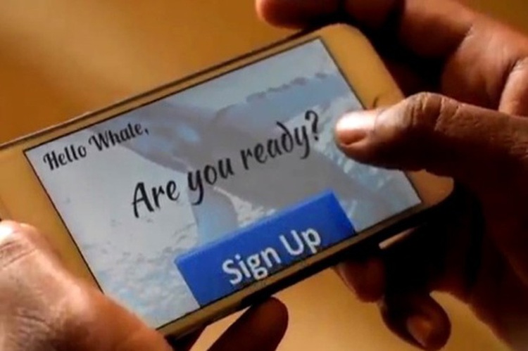 ‘Blue Whale’ Internet suicide game brings wave of fear to Vietnam