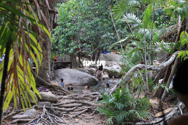 Management of Vietnamese natural reserve mulls renting forest land to tourism companies
