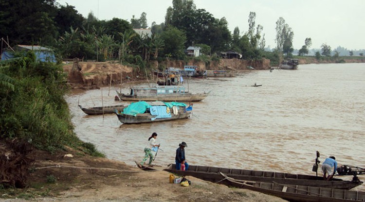 Depleting fish stocks imperil local livelihood in Vietnam’s Mekong Delta