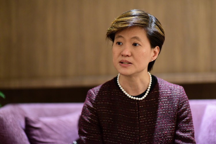 Singapore eyes providing urban solutions for Vietnam: ambassador