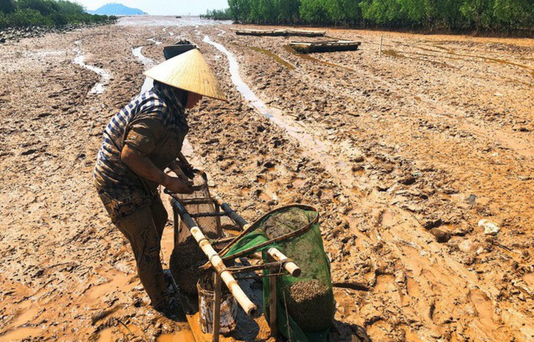 A sea of garbage: trash engulfs Vietnam’s coastline