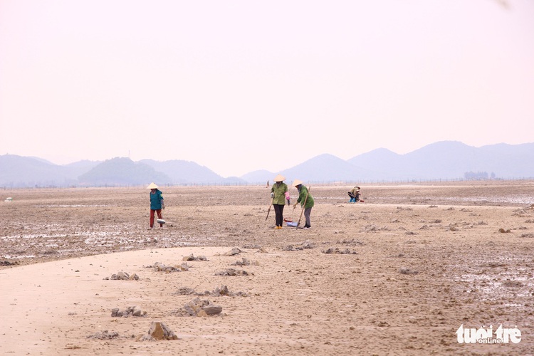 Women earn a living digging for peanut worms in northern Vietnam