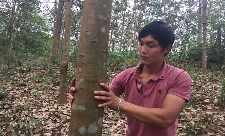 How ‘white gold’ plunges Vietnamese farmers into dire straits