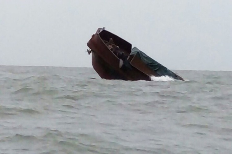 Chinese ship carrying 110 tons of buffalo meat sinks off northern Vietnam