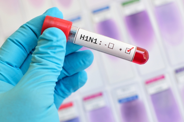 ​Ho Chi Minh City on brink of swine flu outbreak