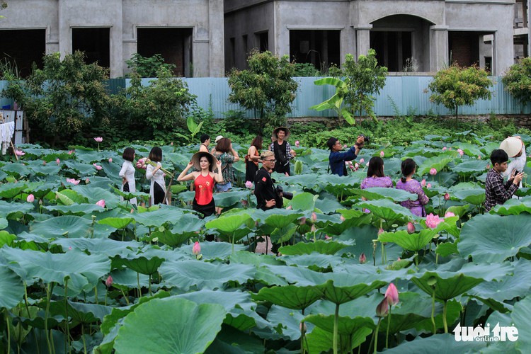 ​​Hanoi lotus ponds filled with selfie-lovers as summer comes