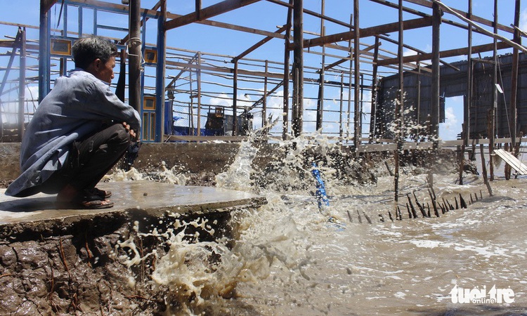 Residents lose all to coastal erosion in Vietnam’s Mekong Delta