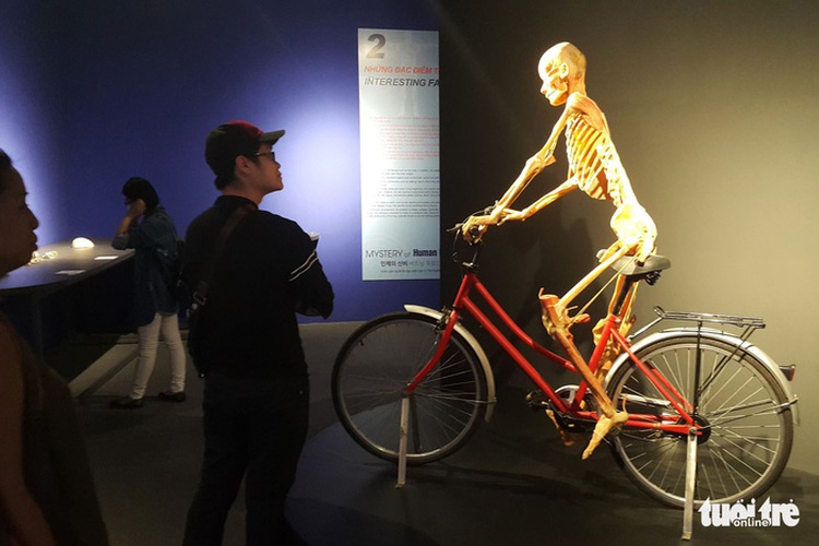​Preserved body, organ exhibition raises eyebrows in Ho Chi Minh City