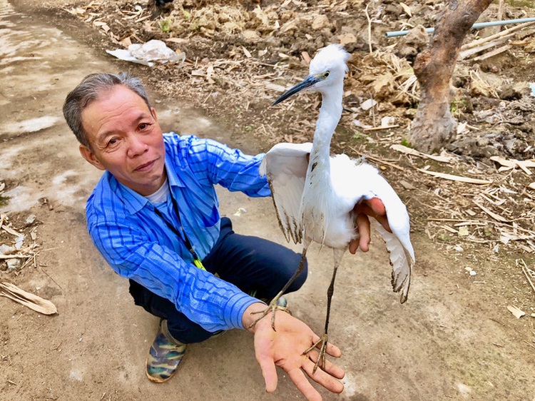 Vietnam farmers struggle to protect wild storks