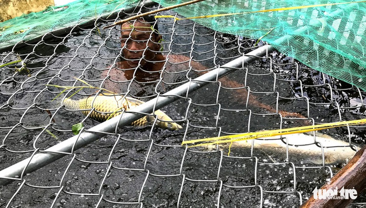 Central Vietnamese villagers reel from mass deaths of farmed fish