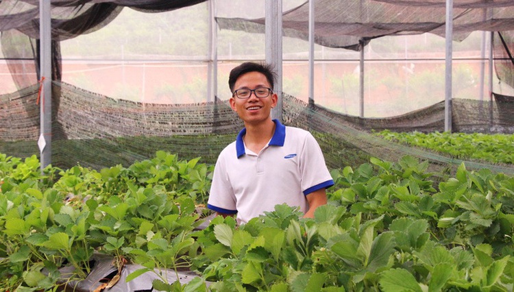 ​Young Vietnamese leave city life behind to run business in mountainous Moc Chau