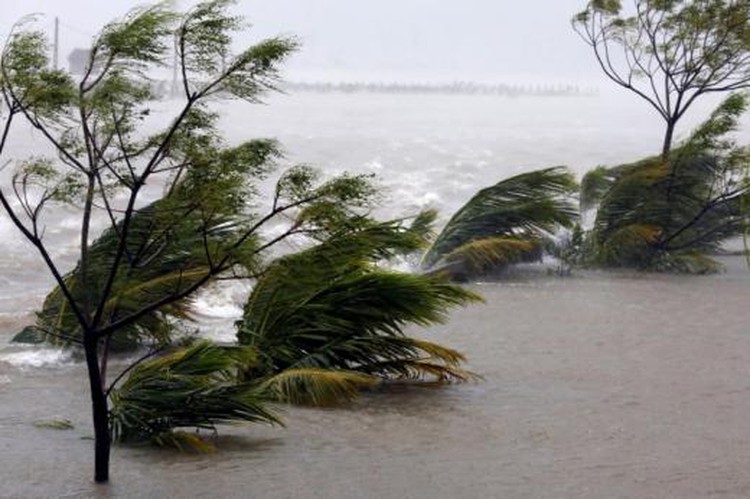 ​Vietnam orders vessels back to port, braces for Son Tinh tropical storm