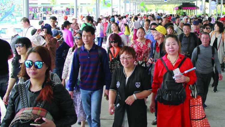 Chinese tour guides ‘steal’ jobs from local peers in Da Nang