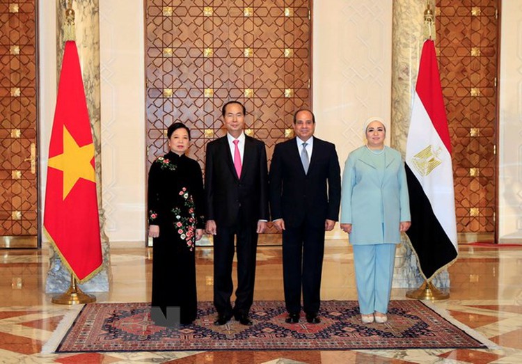 Vietnam boosts friendship, multifaceted cooperation with Egypt
