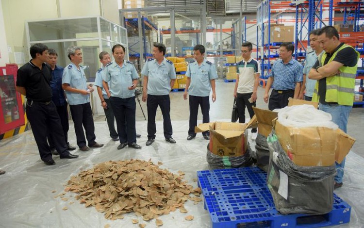 Vietnam seizes nearly a ton of pangolin scales, ivory