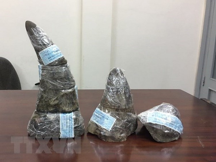 Vietnam seizes 13 rhino horns shipped from South Africa