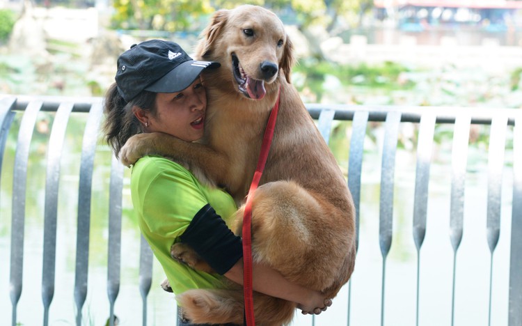 Ho Chi Minh City hosts canine fest