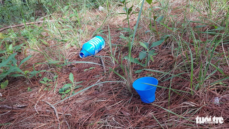 Fresh batch of 670 pine trees found poisoned in Vietnam’s Central Highlands