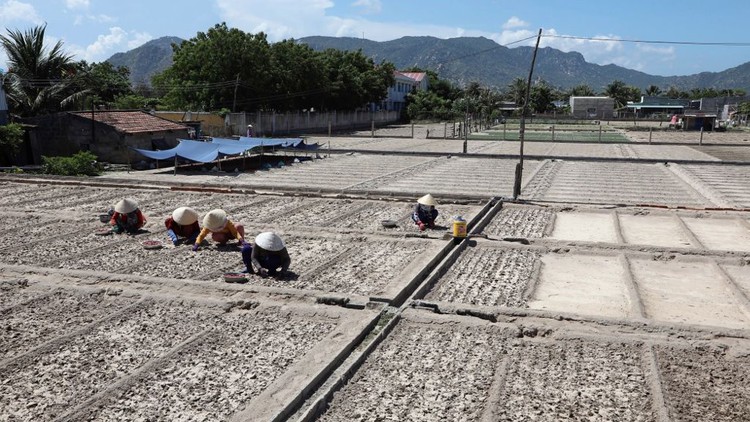 ADB to help Vietnam modernize irrigation systems, improve agricultural productivity