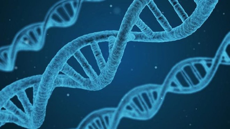 Conglomerate Vingroup to start $4.5mn Vietnamese-genome project