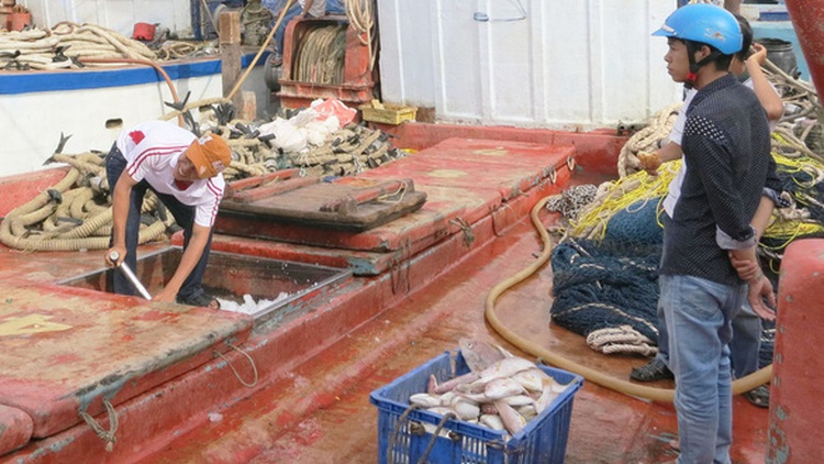 Vietnamese fishing ground running out of fish