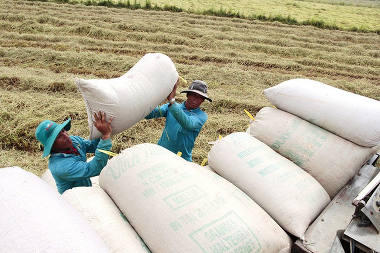 Vietnam should outperform 2018 economic achievements in 2019: leaders