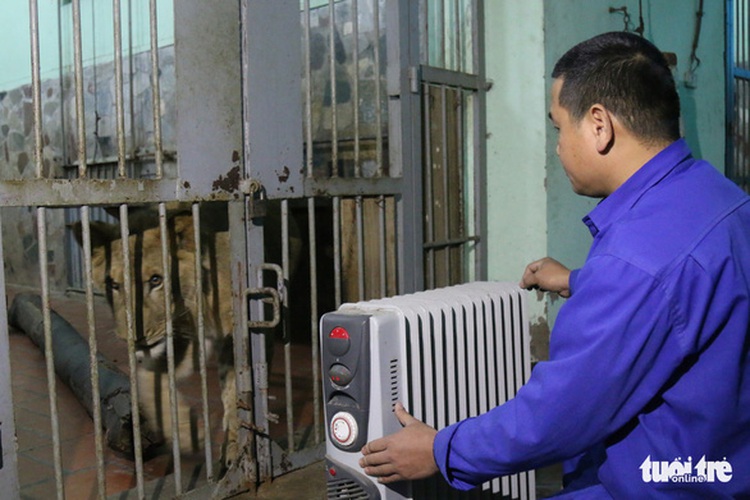 Hanoi zoo turns up the heat as cold spell freezes city