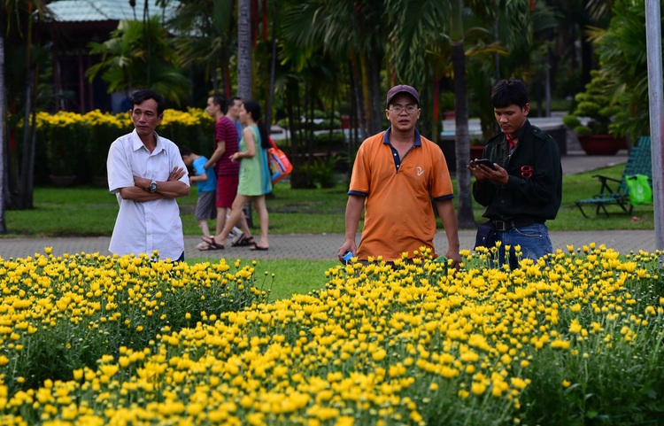Ornamental plants flood into Ho Chi Minh City in lead-up to Tet