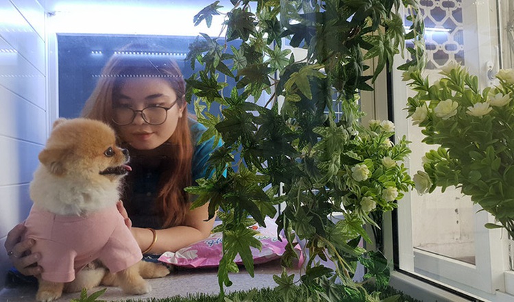 Pet sitting service emerges for Tet holiday in Vietnam