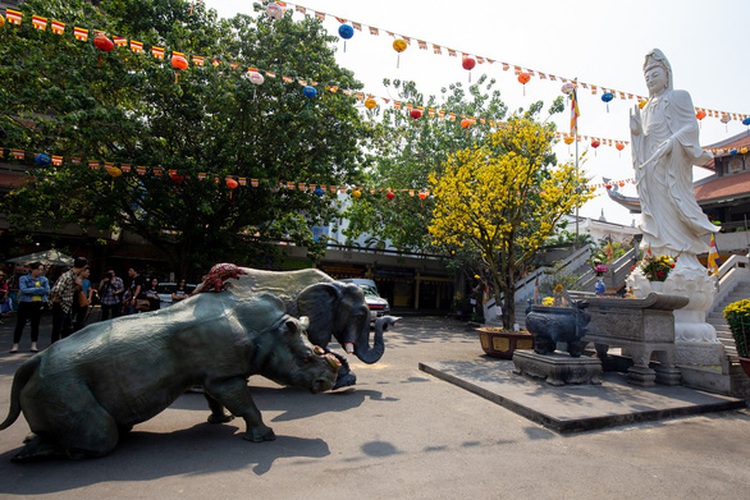 Campaign against wildlife consumption launched at pagoda in Ho Chi Minh City