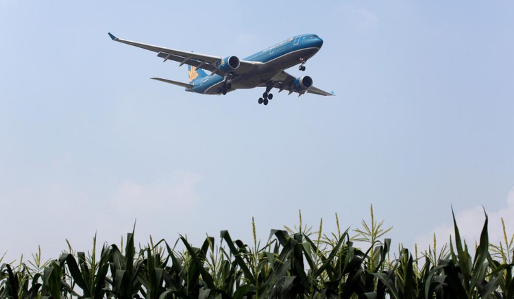 Vietnamese airlines granted access to U.S. market for first time