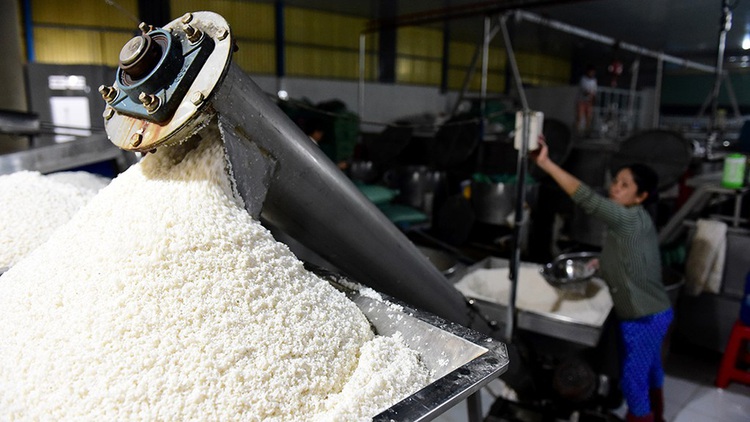 Visiting century-old ‘flour village’ in Vietnam’s rice basket