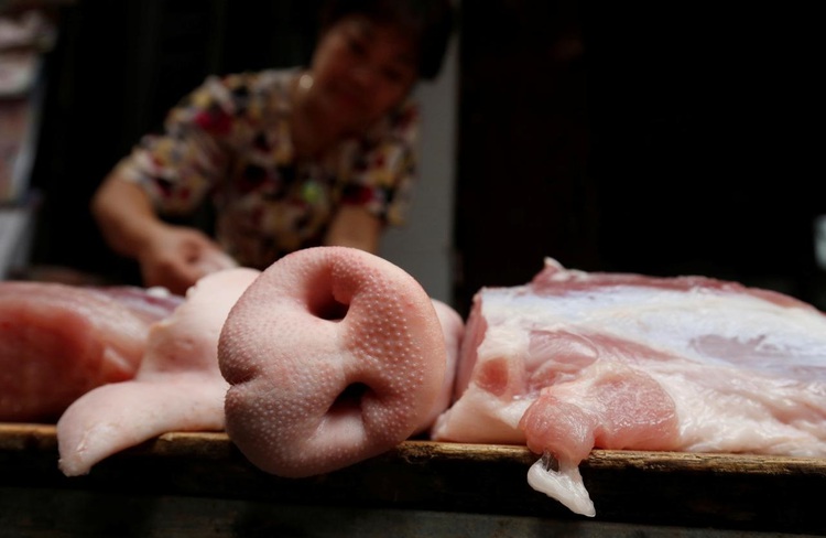 Vietnam calls for 'drastic measures' to fight African swine fever