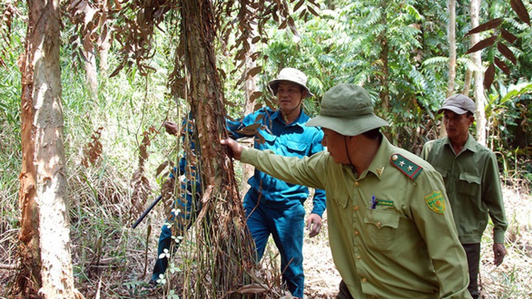 Southern Vietnam sizzling as dry season reaches peak