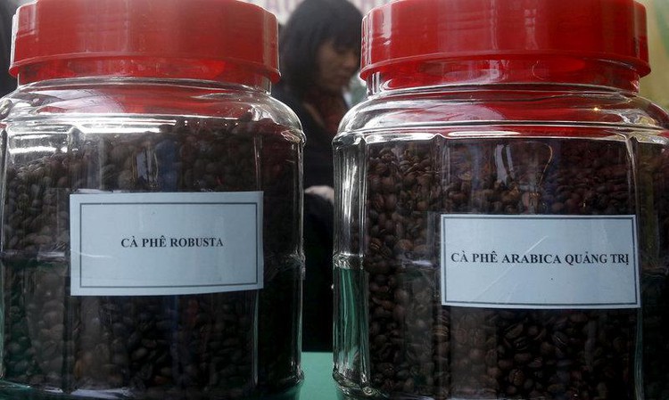 Vietnam's Q1 coffee exports at 477,000 tonnes, down 15.3 pct y/y: govt