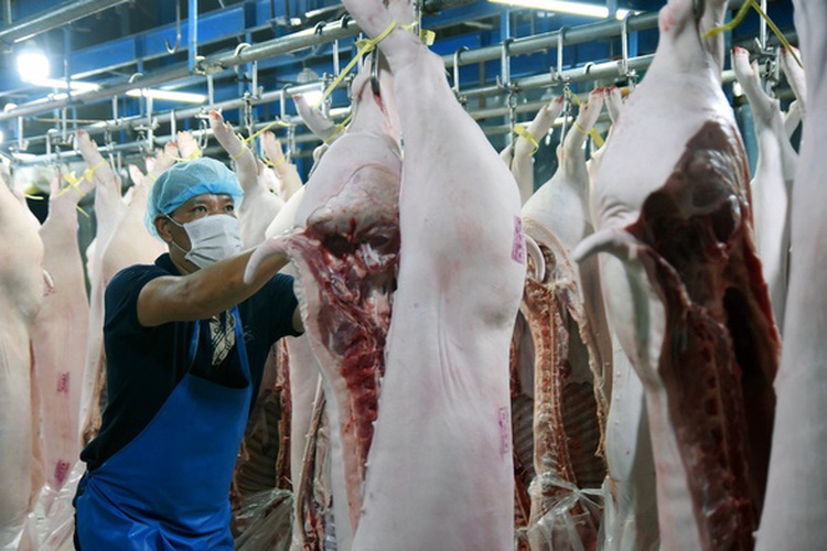 Vietnam says African swine fever epidemic put under control
