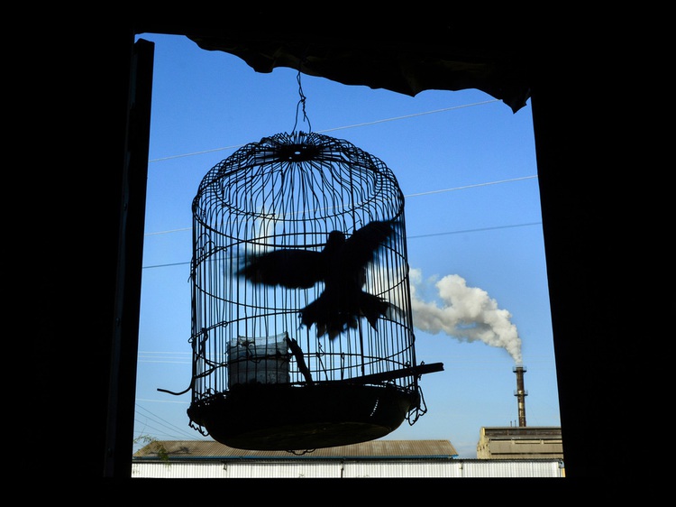 Photography exhibition on Vietnam's air pollution ongoing in Ho Chi Minh City