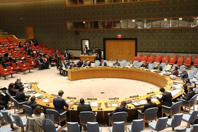 Vietnam wins non-permanent UN Security Council seat